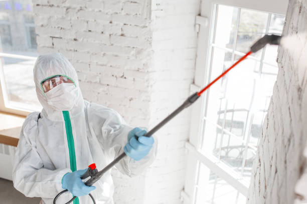 Best Biohazard Mold Removal  in Browns Lake, WI