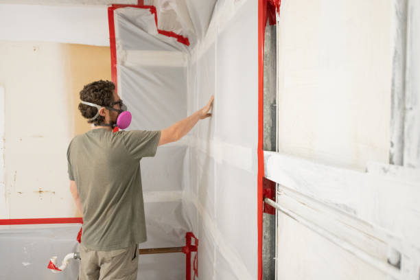 Best Mold Prevention Services  in Browns Lake, WI