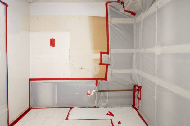 Best Mold Removal for HVAC Installations  in Browns Lake, WI