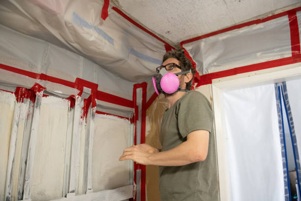 Best Mold Odor Removal Services  in Browns Lake, WI