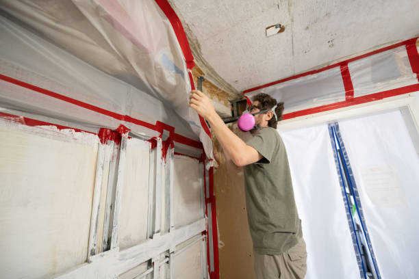 Mold Odor Removal Services in Browns Lake, WI